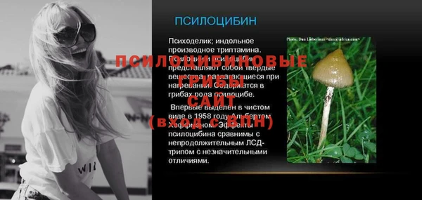 ГАЛЛЮЦИНОГЕННЫЕ ГРИБЫ Балахна