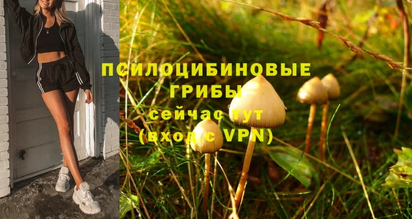 гидропоника Балабаново