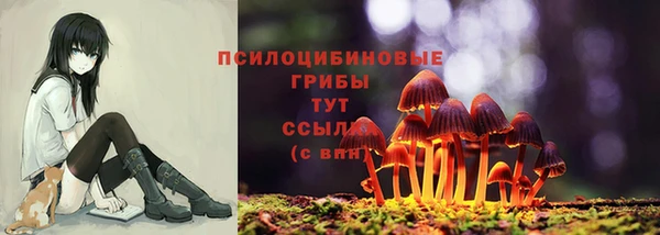 ГАЛЛЮЦИНОГЕННЫЕ ГРИБЫ Балахна
