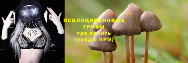 гидропоника Балабаново