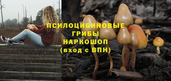 а пвп мука Баксан