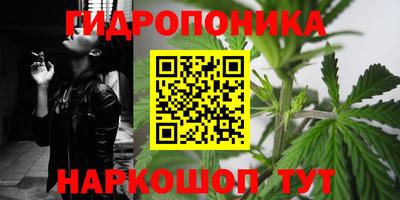 прущие крисы Пугачёв