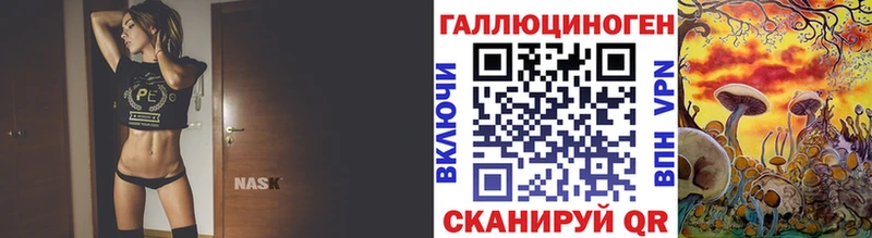 мориарти клад  сколько стоит  Усть-Джегута  Галлюциногенные грибы Psilocybe 